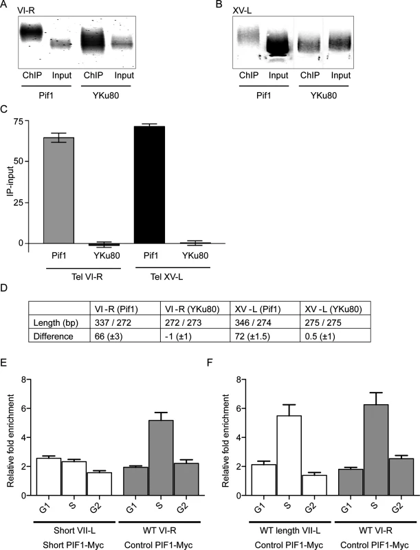 Pif1 preferentially binds to long telomeres.