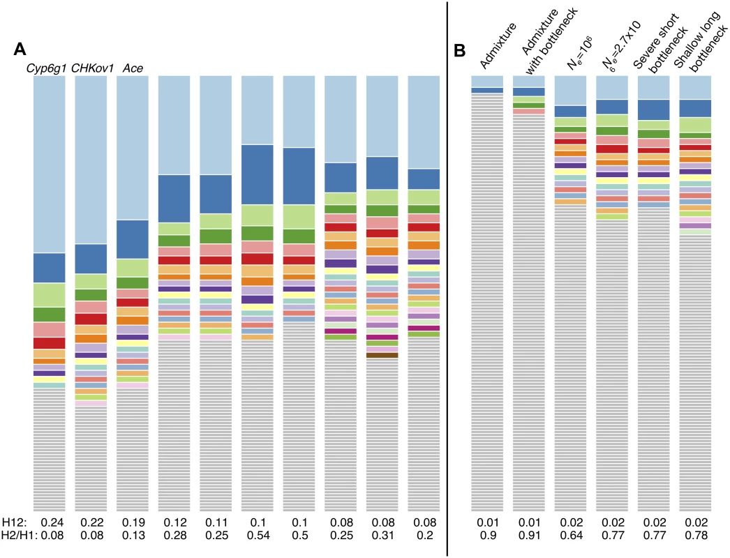 Haplotype frequency spectra for the top 10 peaks and extreme outliers under neutral demographic scenarios.