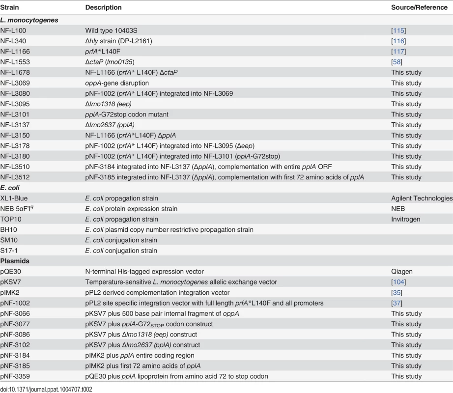 Bacterial strains and plasmids used in this study.