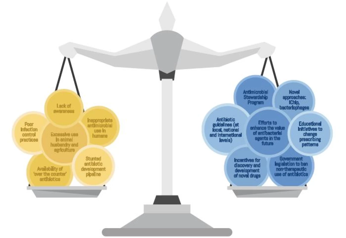The balance that will determine the effectiveness of antimicrobials as a class. The value of the antimicrobial armament in the future is dependent on numerous opposing forces. Factors on the left of the scale represent those diminishing the value while those on the right aspire to counter these. The ultimate worth of antimicrobials in the future will be realised in how these opposing forces balance out