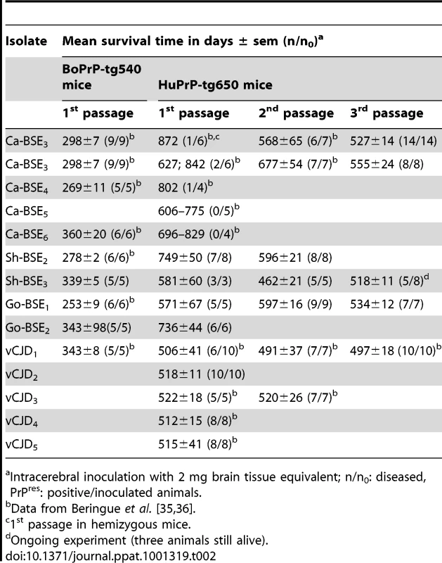 Transmission of bovine, ovine and goat-BSE isolates to tg650 (INRA).