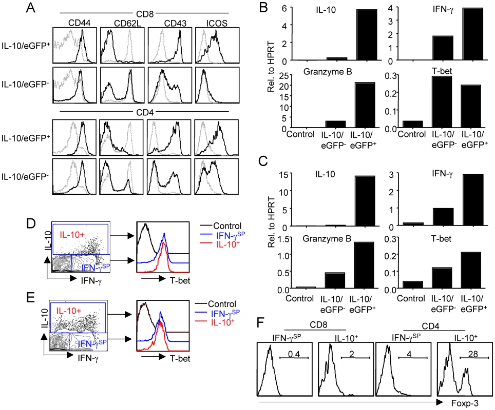 IL-10 expressing T cells are mainly type 1 effector T cells.