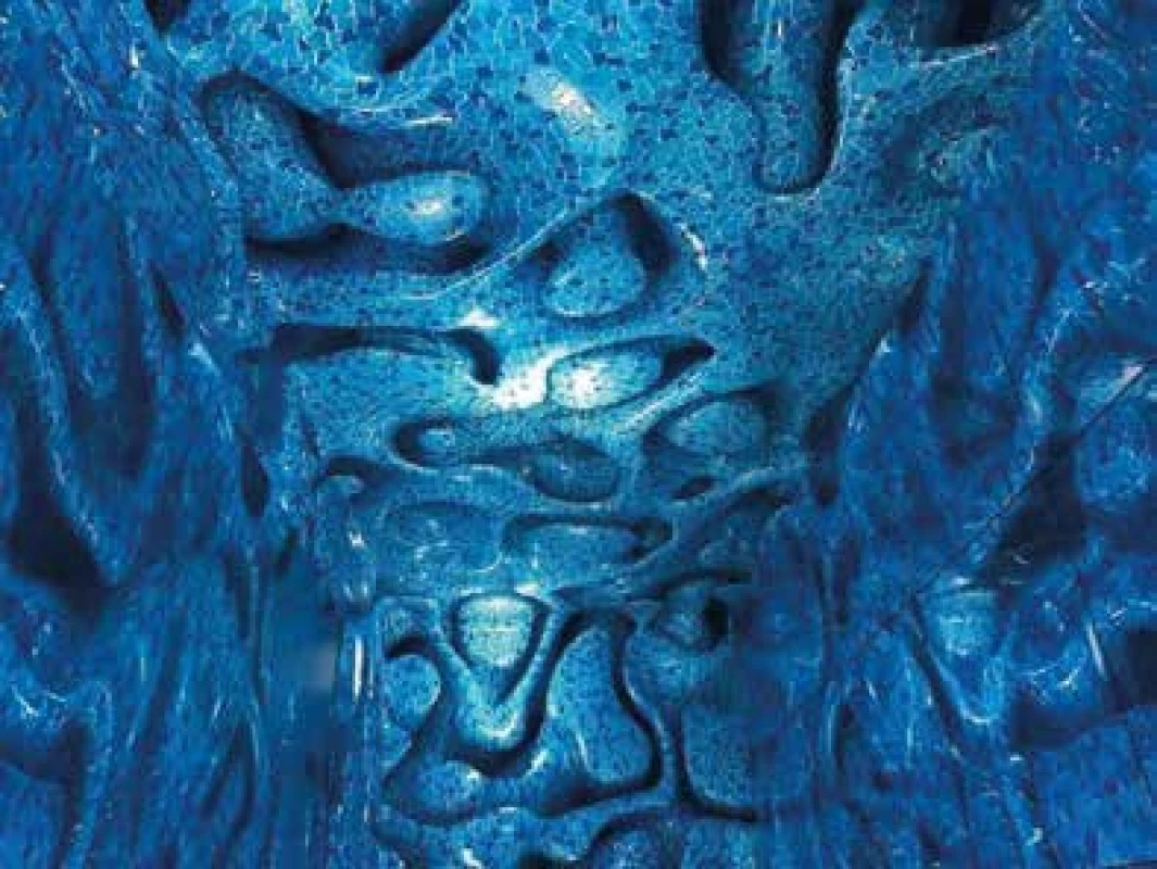 Antoni Gaudí, CasaBatllo