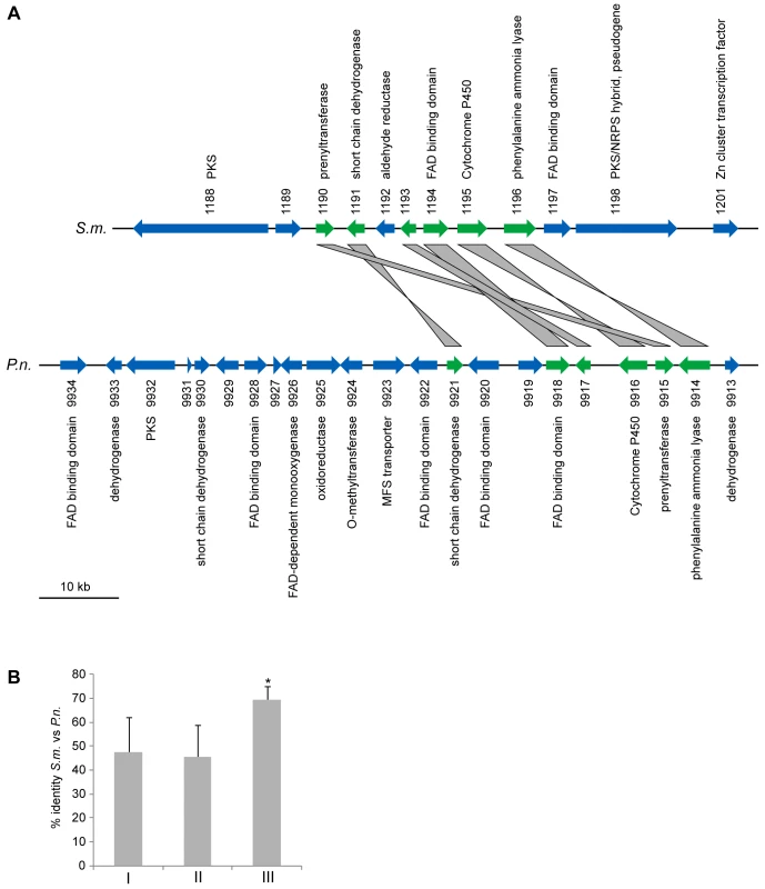 A partly orthologous polyketide biosynthesis cluster in <i>S. macrospora</i> and <i>Phaeosphaeria nodorum</i>.