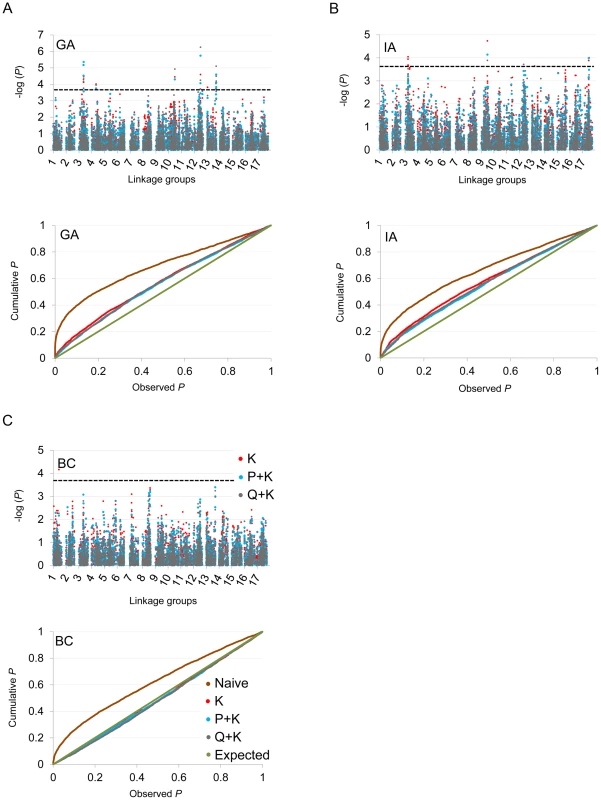 Manhattan and quantile–quantile plots of flowering time associations.