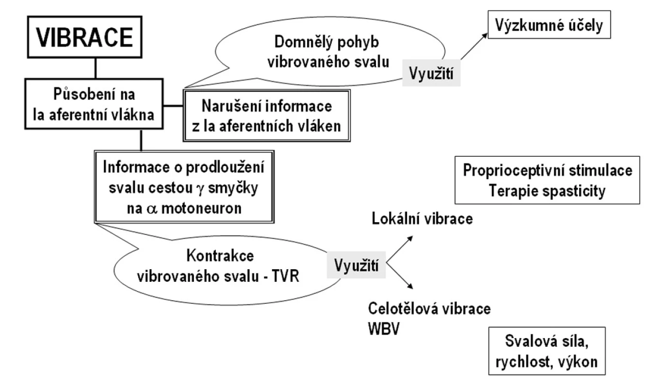 Využití vibrace v klinice pohybových poruch.