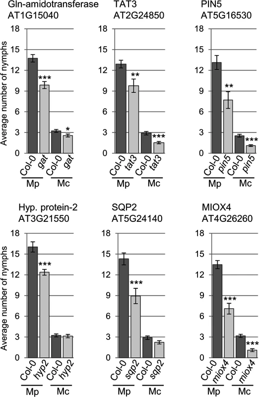 <i>Arabidopsis</i> knock-out mutants show altered susceptibility to <i>Myzus persicae</i> and <i>Myzus cerasi</i>.