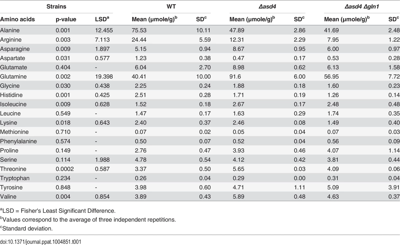 aTRAQ values for mycelial amino acid concentrations following growth on minimal media with 1% (w/v) glucose and 10 mM NH<sub>4</sub><sup>+</sup>.