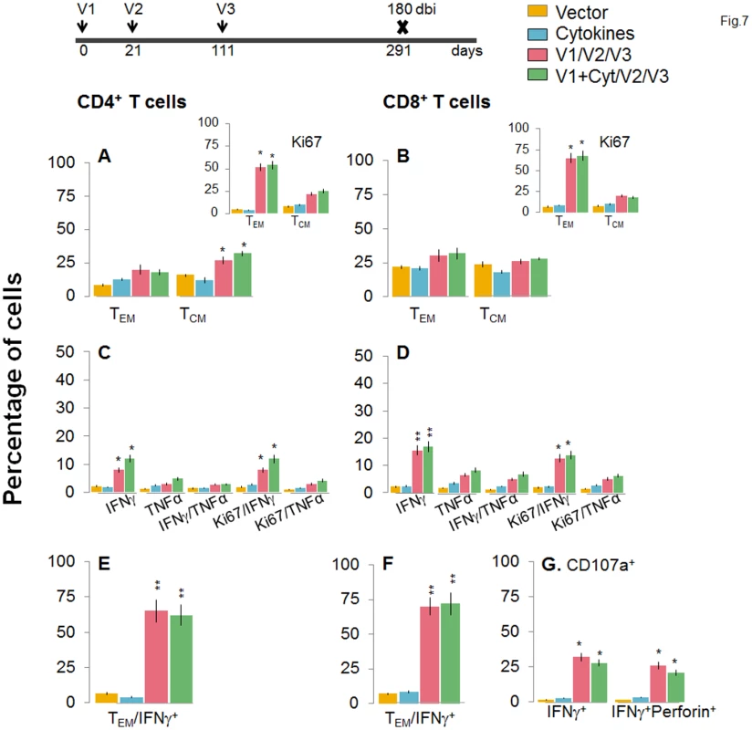 A decline in the frequency of D/P vaccine/bi elicited, long-lived CD4<sup>+</sup> and CD8<sup>+</sup> T cells occurred by 180 days post bi.