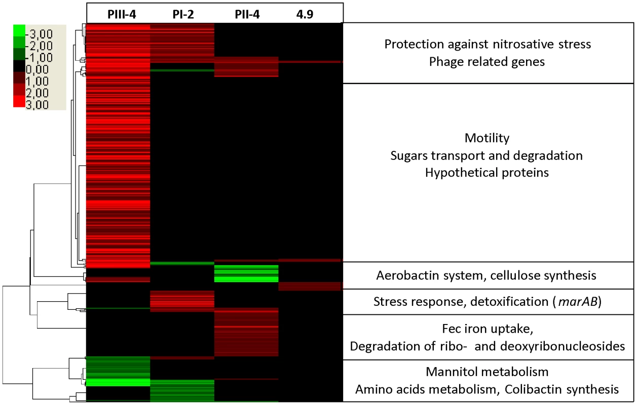 Host-specific changes in gene expression patterns of <i>E. coli</i> 83972 revealed by transcriptome analysis.