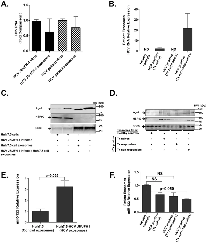 Exosomes from HCV J6/JFH-1 infected Huh7.5 cells and sera of HCV infected patients contain HCV RNA, miR-122, Ago2, and HSP90.