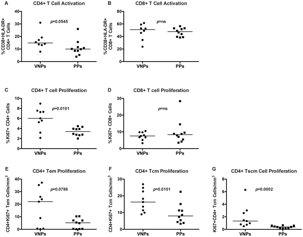 T cell proliferation and activation in VNPs and PPs.