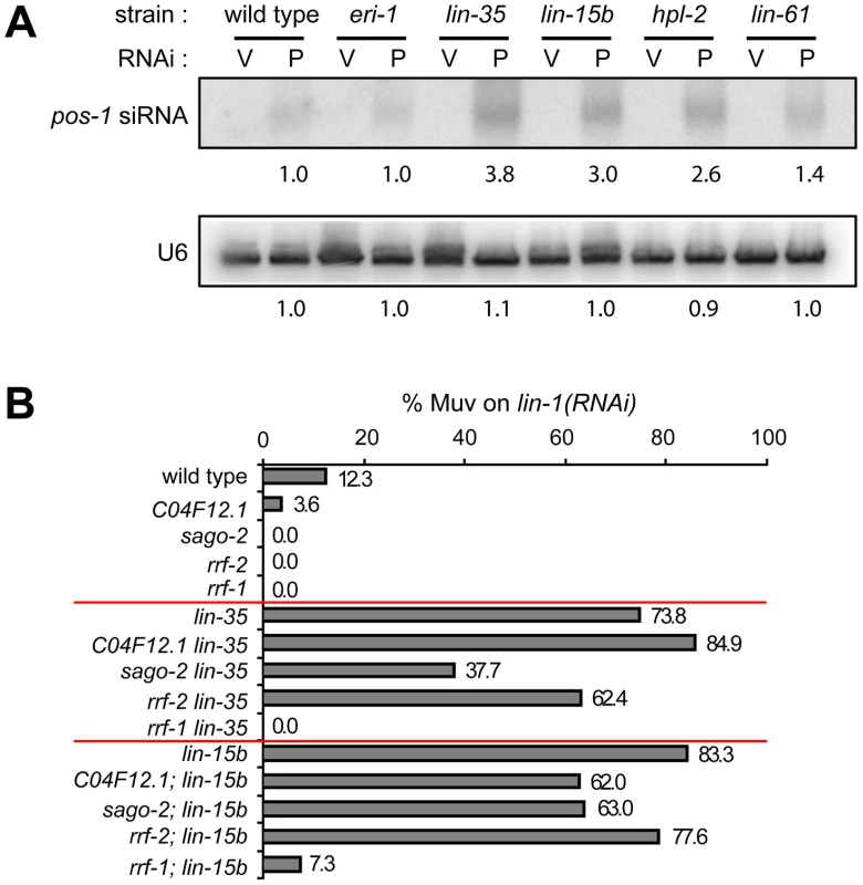 Transcriptional misregulations partially contribute to the enhanced RNAi response of synMuv B mutants.