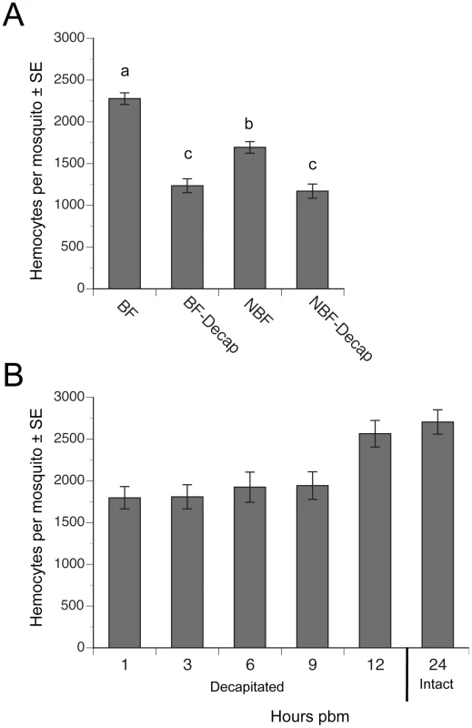 Decapitation inhibits the increase in hemocyte abundance that occurs after blood feeding.