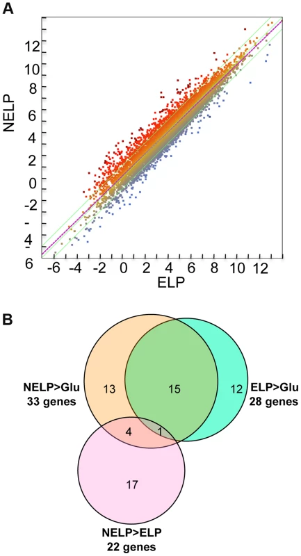 <i>P. gigantea</i> transcriptome.