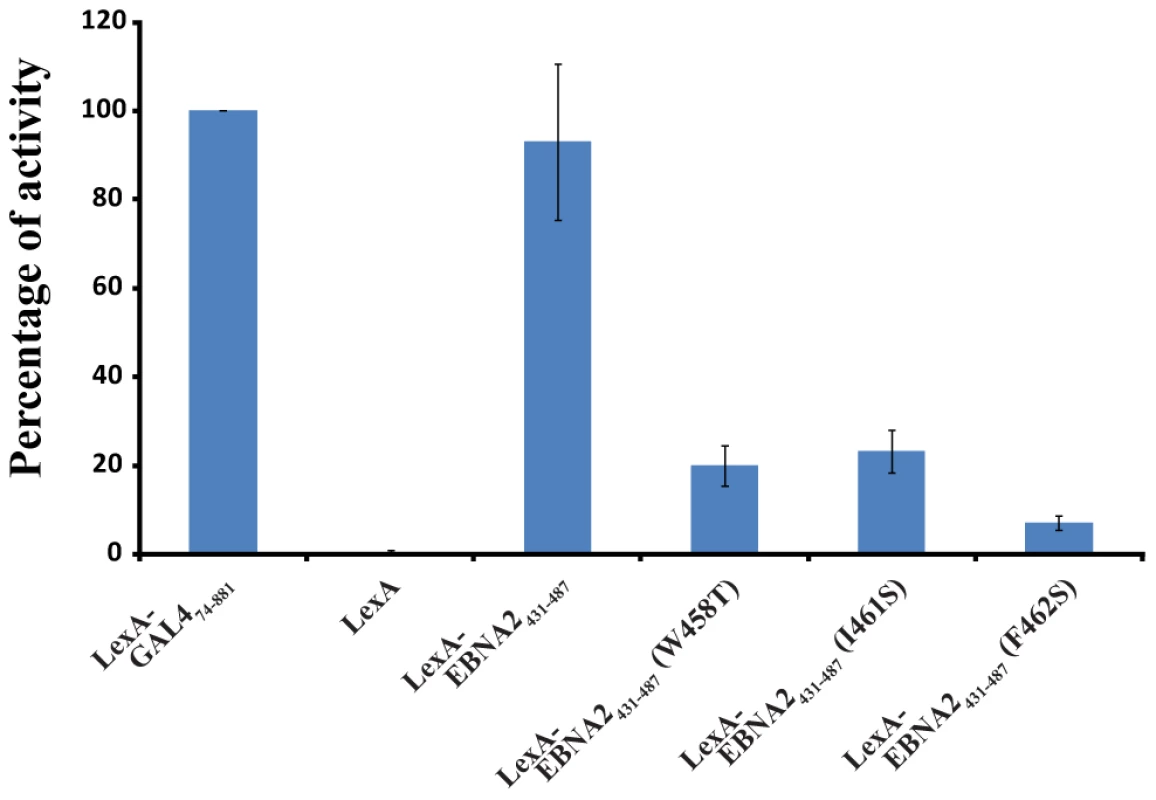 The hydrophobic residues of the ΦXXΦΦ motif from EBNA2 are important for transactivation.