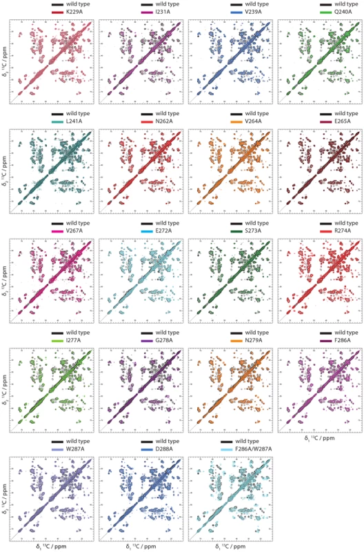 2D Solid state NMR spectra of Ala variants of HET-s(218–289) amyloid fibrils.