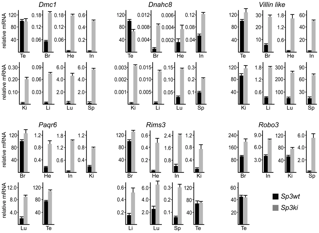SUMOylation of Sp3 restricts tissue-specific gene expression in mouse organs.