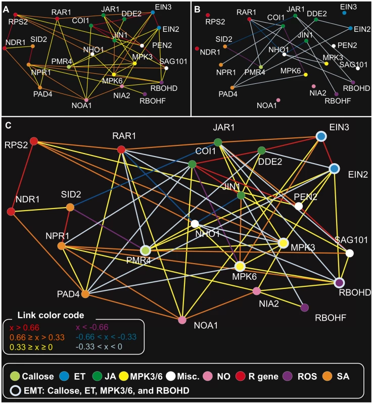 The network model for the genes corresponding to the mutations.