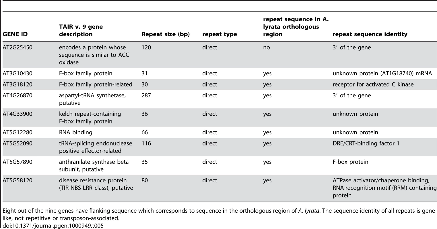 Transposed Arabidopsis genes without a likely “parent” gene.