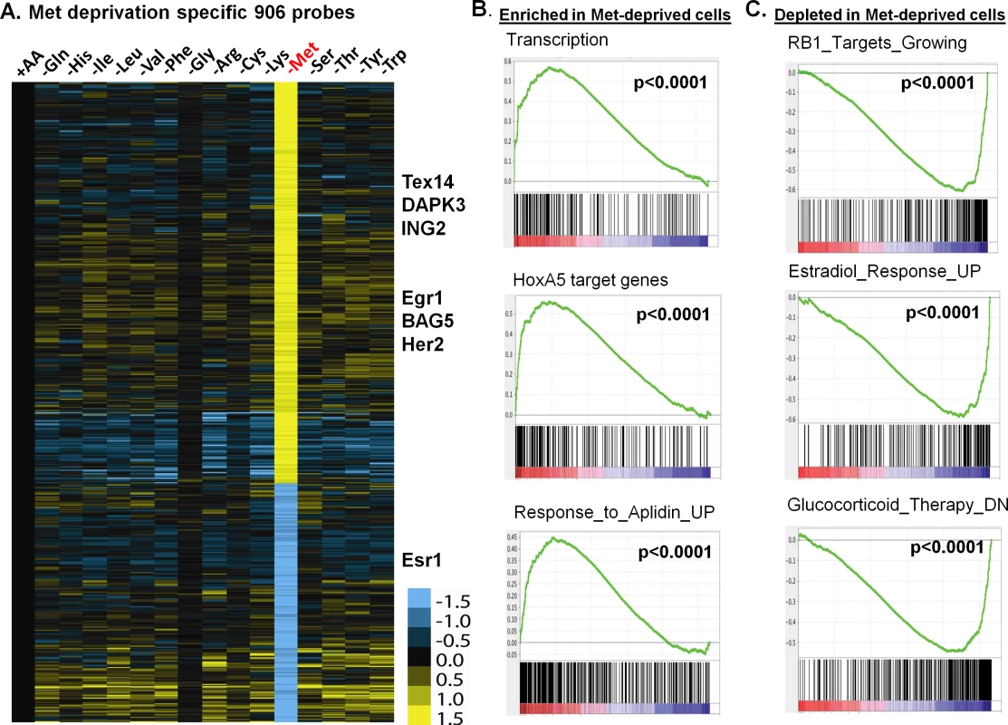 The methionine-deprived specific transcriptional response.