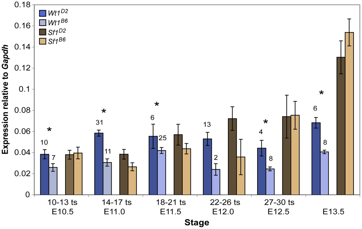 <i>Wt1</i> but not <i>Sf1</i> transcript levels were significantly lower in B6 versus D2 gonad/mesonephros complexes.