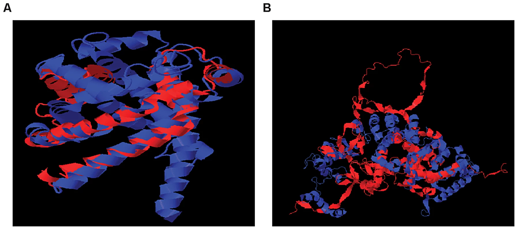 Structural Alignment of Pairs of Transcript Isoforms.