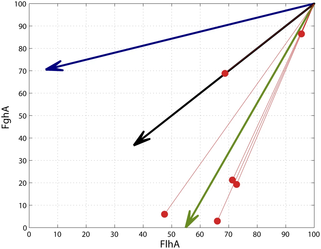 Adaptive mutations tended to move phenotypes toward the global optimum.