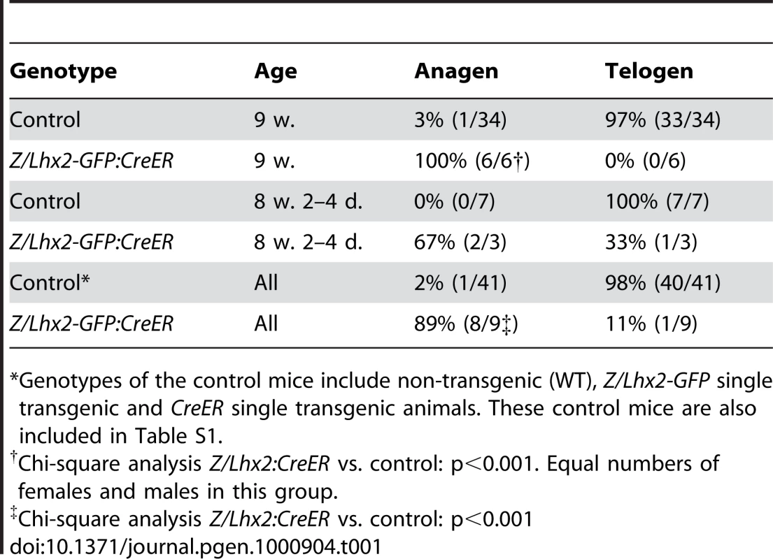 Lhx2 expression induce anagen.