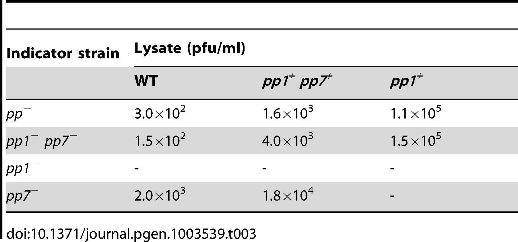 Production of infectious P1 and EfCIV583 virions.
