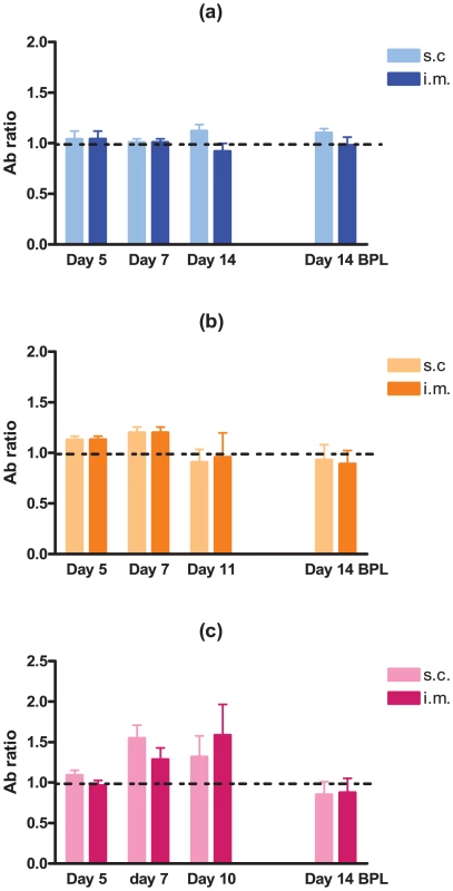 Development of RABV-specific antibodies over time in three- and eight-week old mice.