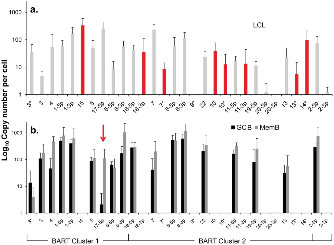 Profile of EBV BART miRNAs in vivo and in spontaneous lymphoblastoid cell lines (LCL) expressing latency III.