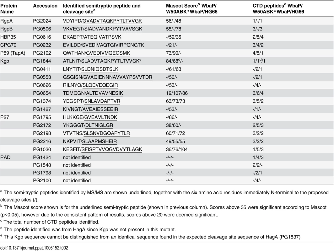 Identification of cleaved CTDs and their putative cleavage sites.
