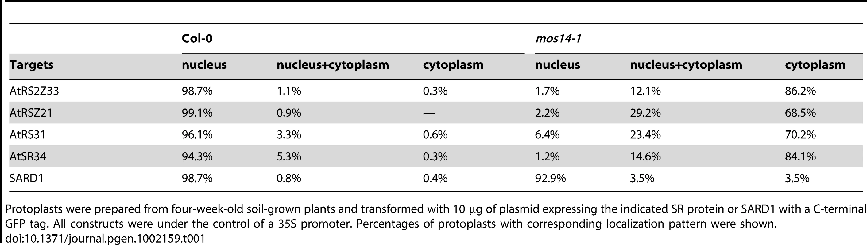 Analysis of SR protein and SARD1 localization in protoplasts of Col-0 and <i>mos14-1</i>.