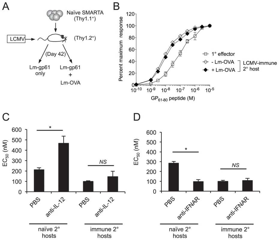 Functional avidity of secondary SMARTA Th1 cells is regulated by inflammatory environment.
