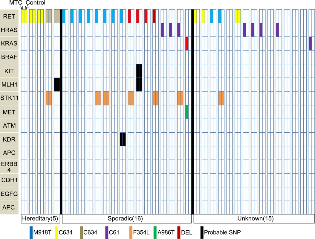 Mutational profiles for comparisons between MTC tissues and normal thyroid tissues from the same individual.