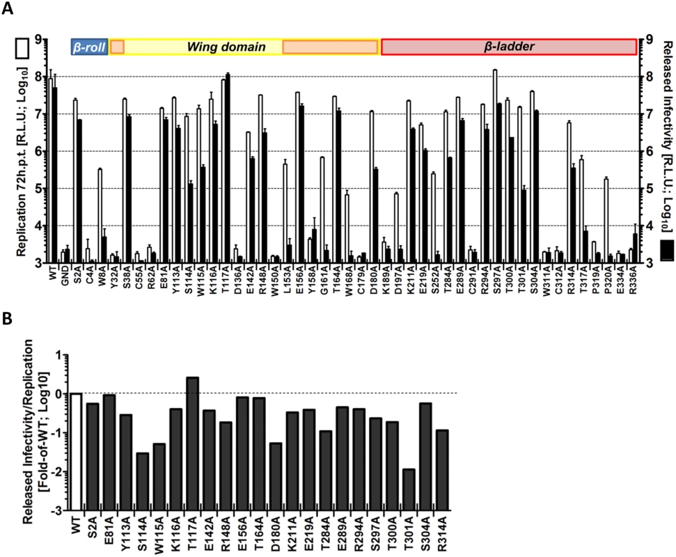 Effect of mutations in NS1 on the production of infectious DENV particles.
