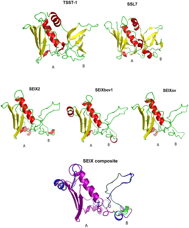 SElX is predicted to have a truncated B-domain.
