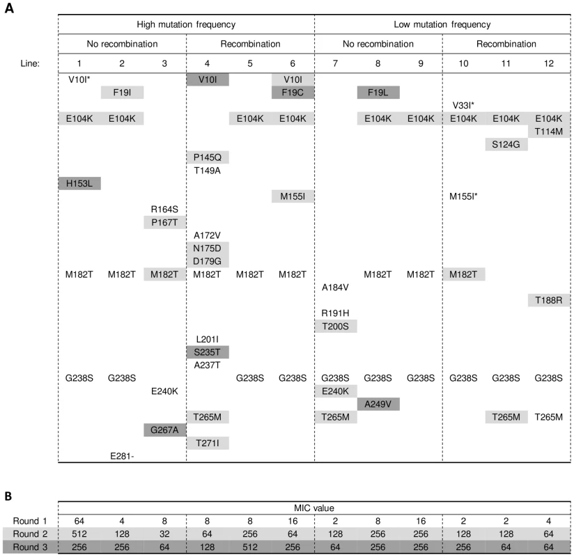 Amino acid substitutions in evolved TEM-1 alleles.