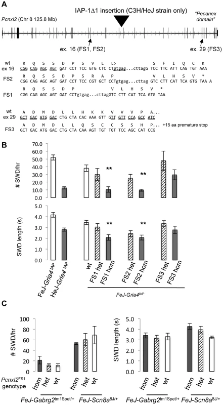 TALEN-induced frameshift alleles of <i>Pcnxl2</i> and suppression of <i>Gria4</i> SWD.