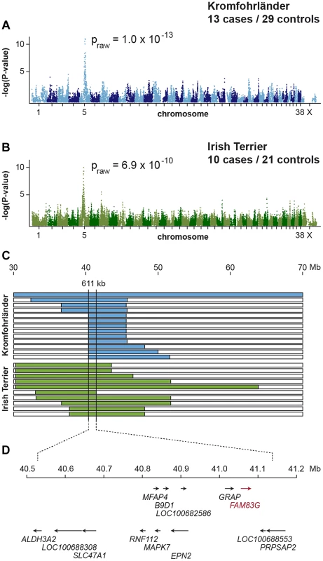 Mapping of HFH by GWAS and haplotype analysis.