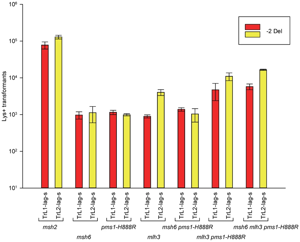 Effect of Mlh3 on 2-nt deletion mispairs.