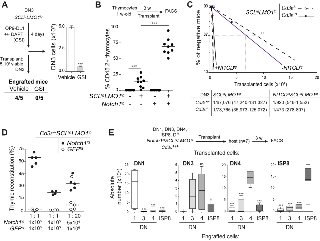 Notch1 collaborates with SCL-LMO1 to increase the pool of pre-LSCs and their competitiveness independently of a functional pre-TCR.