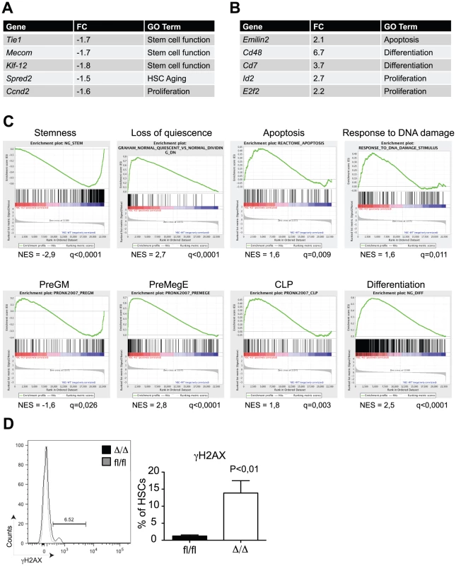 Gene expression profiling of <i>Cebpa</i><sup>Δ/Δ</sup> HSCs shows loss of stemness and biased lineage differentiation.