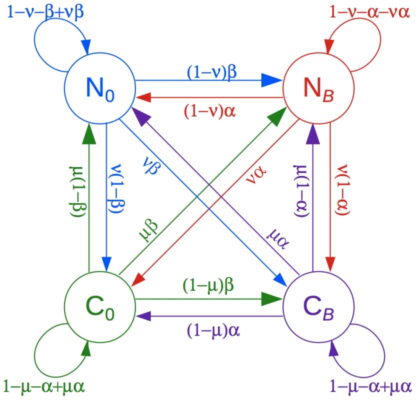 Phylogenetic hidden Markov model used by phastBias.