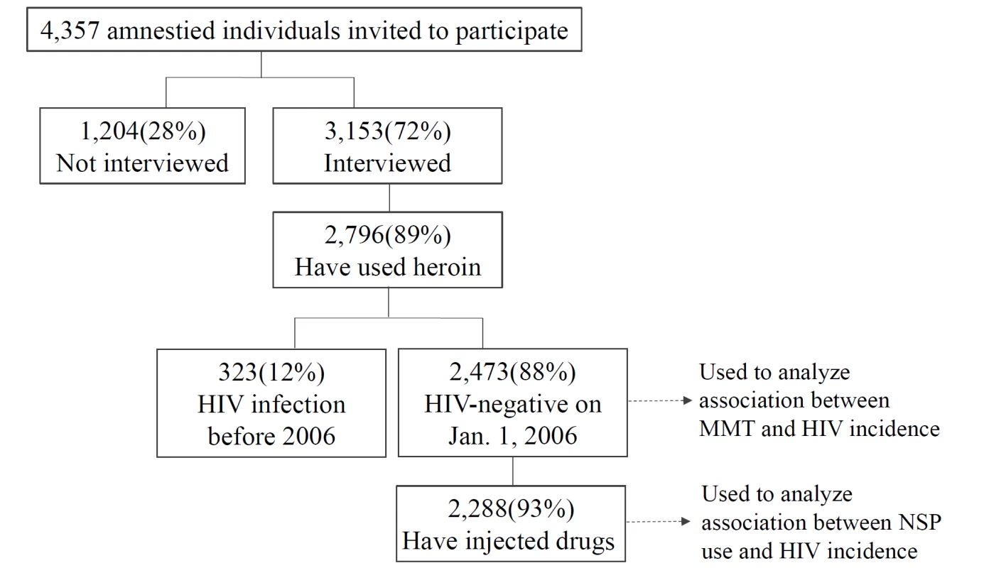 Flow diagram of all participants in the amnesty cohort and their drug-related behavior.