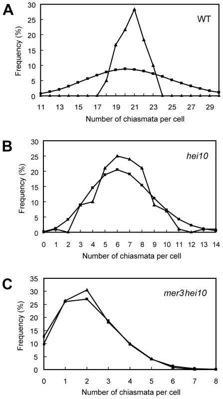 Chiasma distribution in WT, <i>hei10</i>, and <i>mer3hei10</i>.