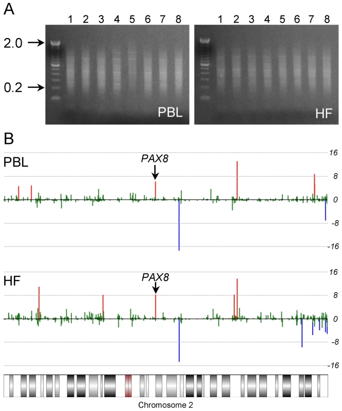 Two-tissue MSAM screen.