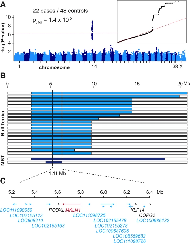 Mapping of the LAD locus.