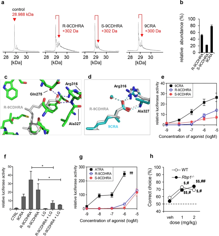 9CDHRA binds and transactivates RXR <i>in vitro</i>, and displays RXR agonist-like activities <i>in vivo</i>.